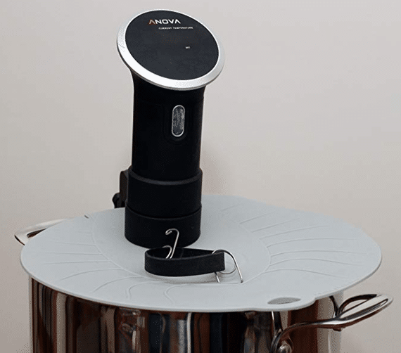 Anova Culinary Sous Vide Precision Cooker