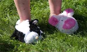 Some competitors wear fluffy slippers