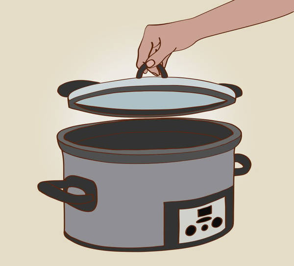 instant pot cooker