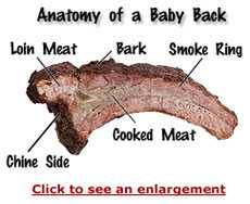 Anatomy of a Baby Back