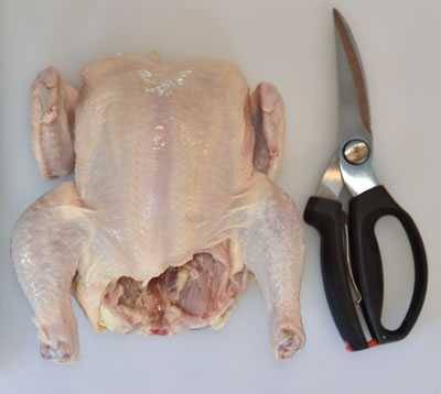 spatchcock step 1