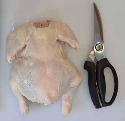 spatchcock step 2