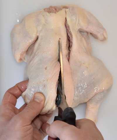 spatchcock step 4