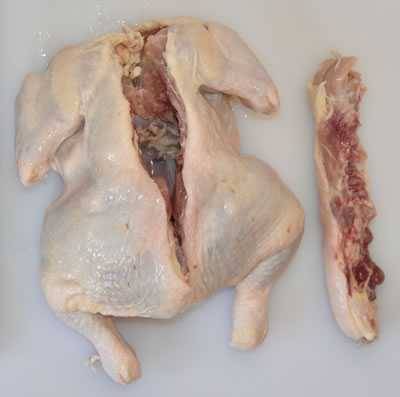 spatchcock step 5