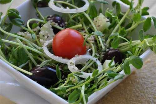 salad in white bowl