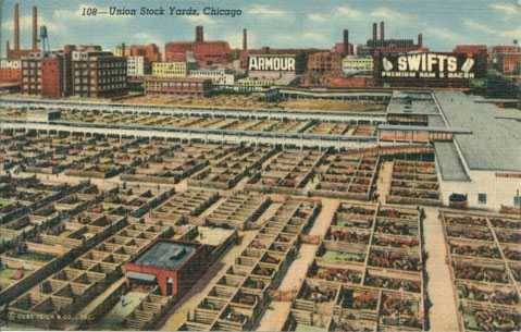 chicago union stockyards