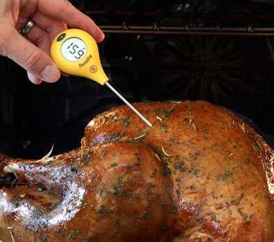 thermopop thermometer in roasted turkey