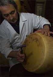 Testing Parmigiano-Reggiano