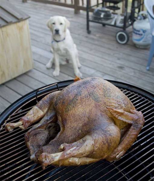 smoked turkey on grill