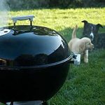 A photo of a weber grill with dogs in the background