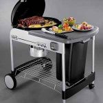 Weber Performer Gold Charcoal Grill