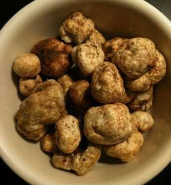 white truffles