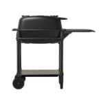 PK300 Charcoal Grill