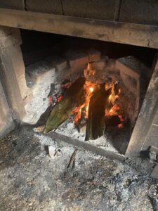 grilling maguey
