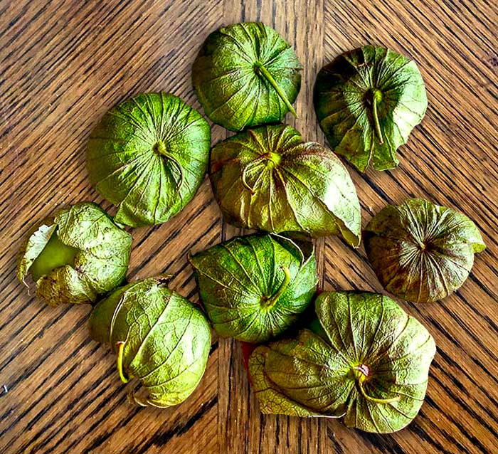 tomatillos with husks
