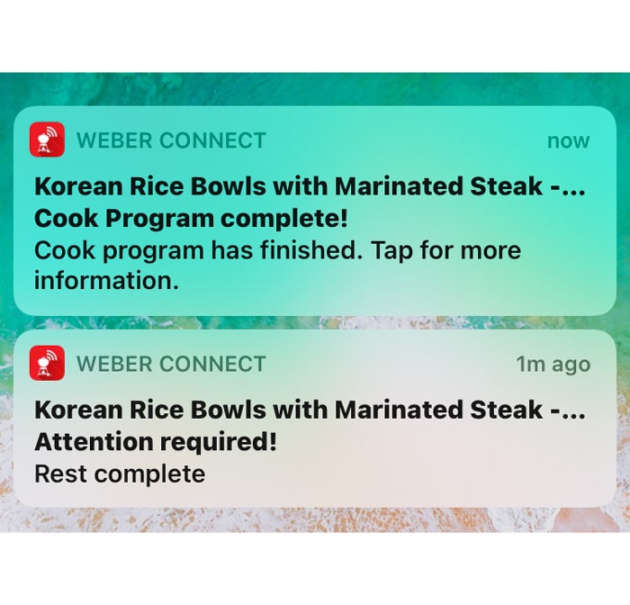 Weber Connect alerts