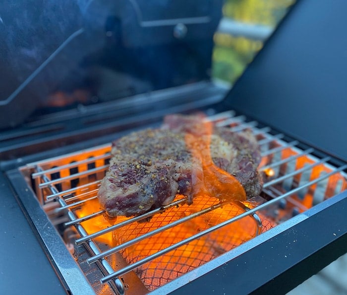 Kenmore Steak Searing