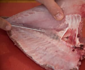 Closeup of hand filleting a fish showing proper knife placement.
