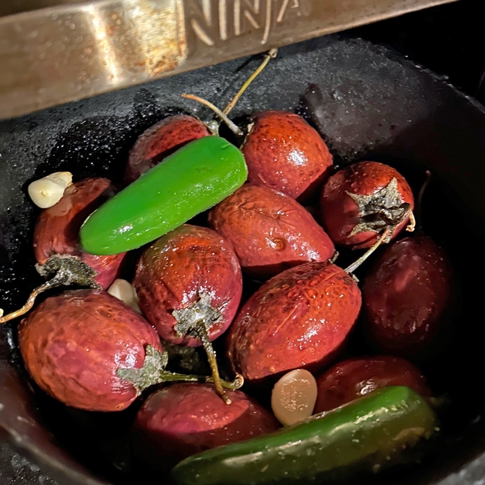 Ninja Outdoor Oven eggplant