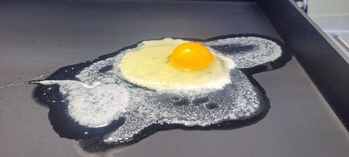 Weber Slate egg