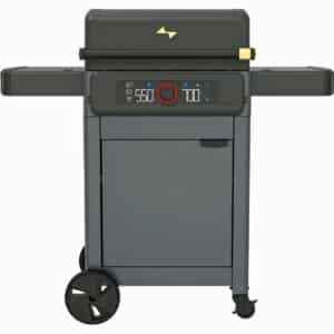 Black Olive Pellet Kamado Grill Review