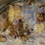 rendering animal fat.