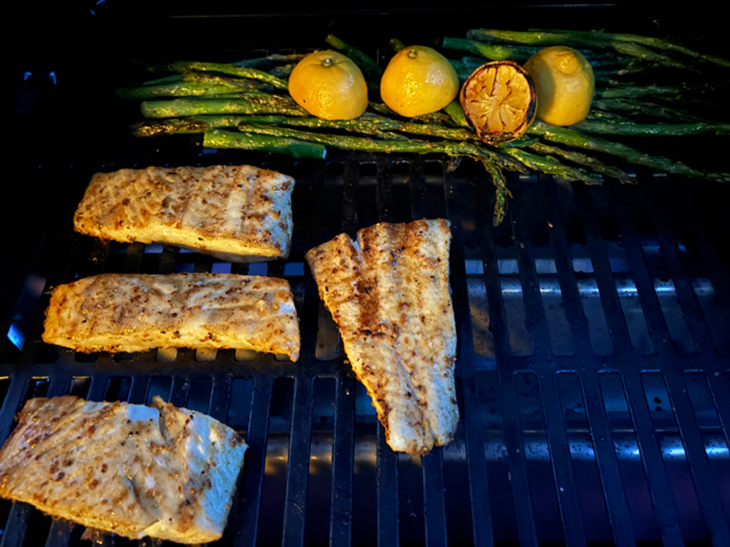 Ninja FlexFlame 2 zone halibut