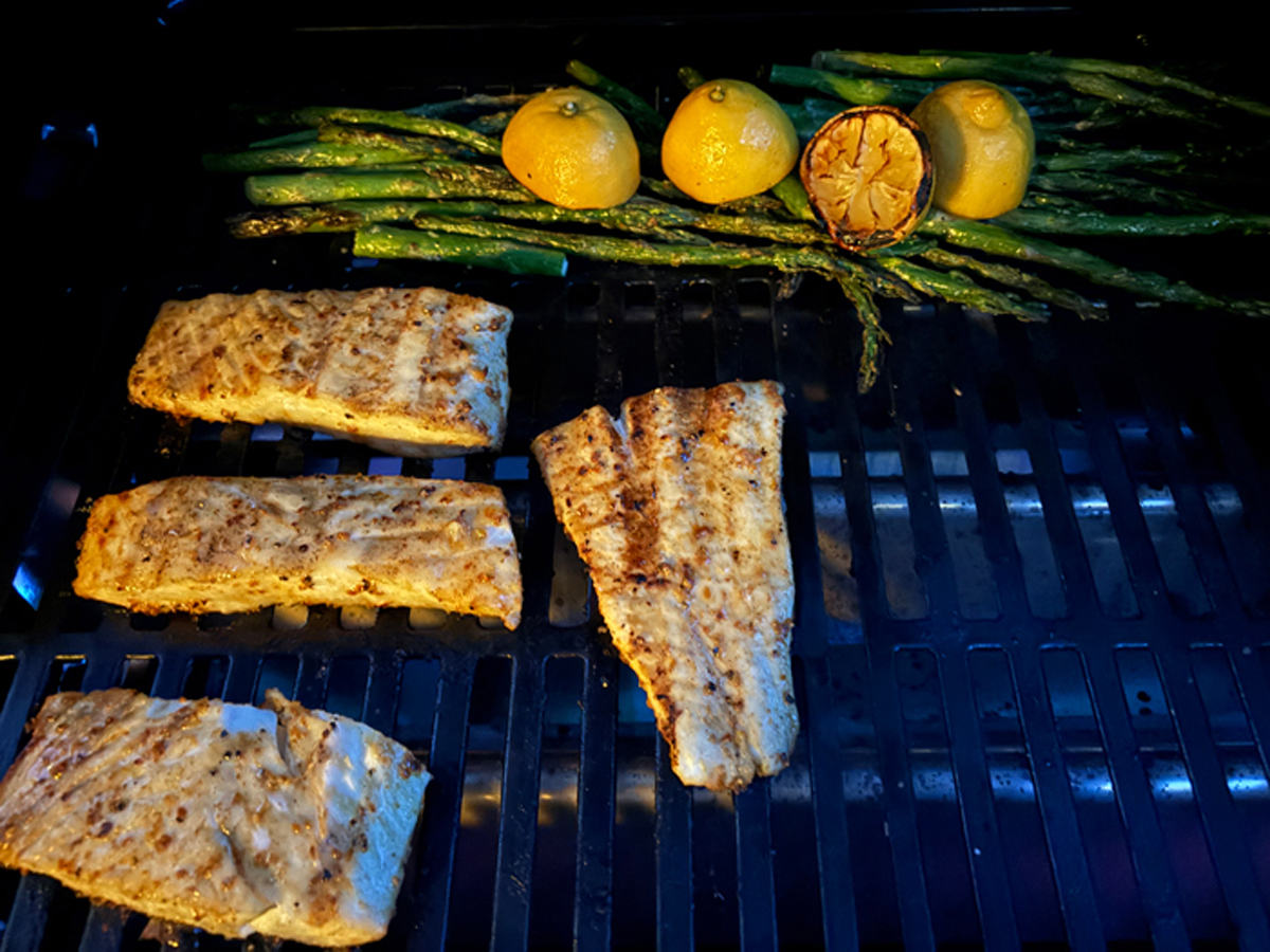 Ninja FlexFlame 2 zone halibut