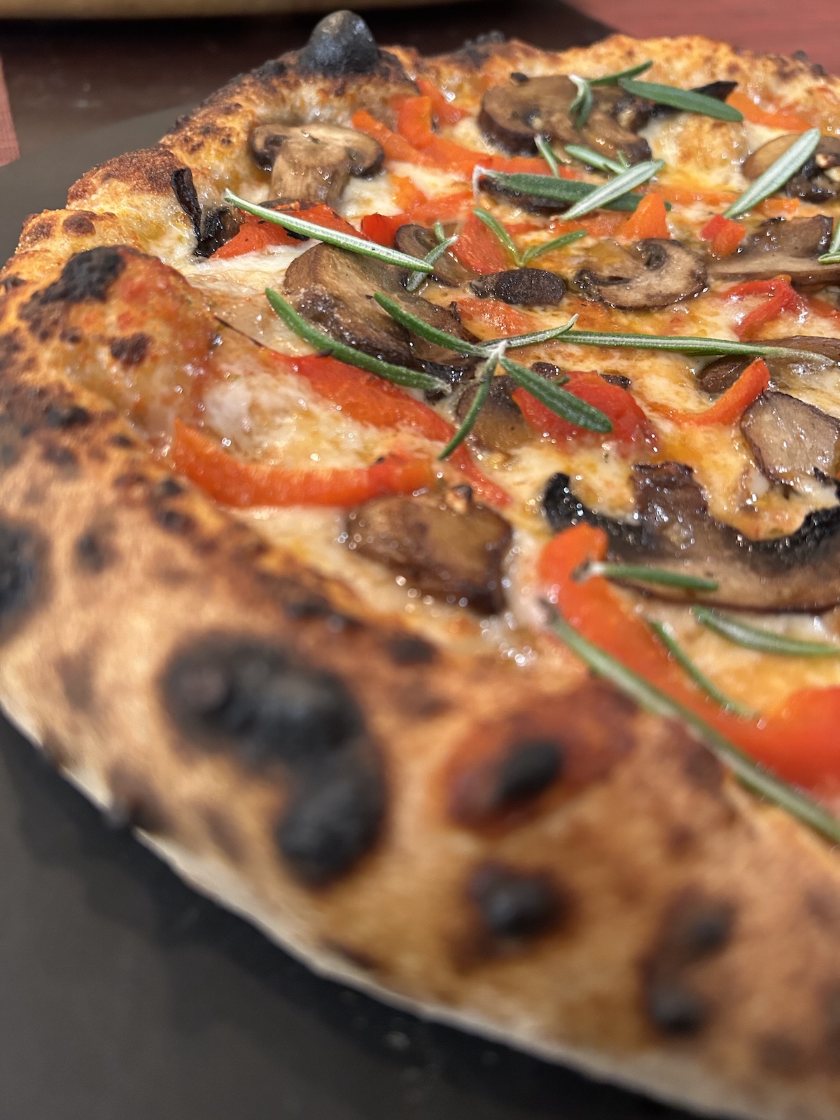 Closeup of a baked pizza topped with cheese, mushrooms, sliced red bell peppers, and fresh rosemary.