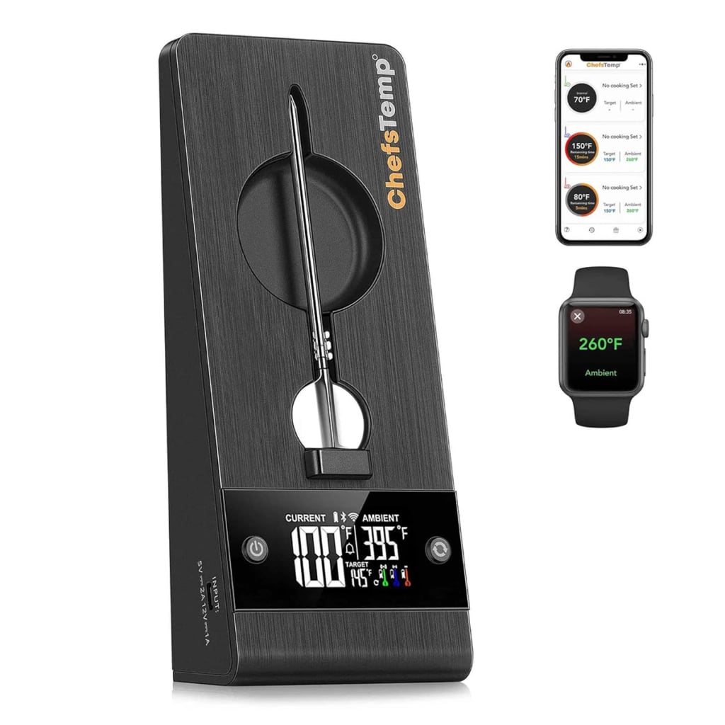 ChefsTemp Protemp 2 Plus Rated and Reviewed