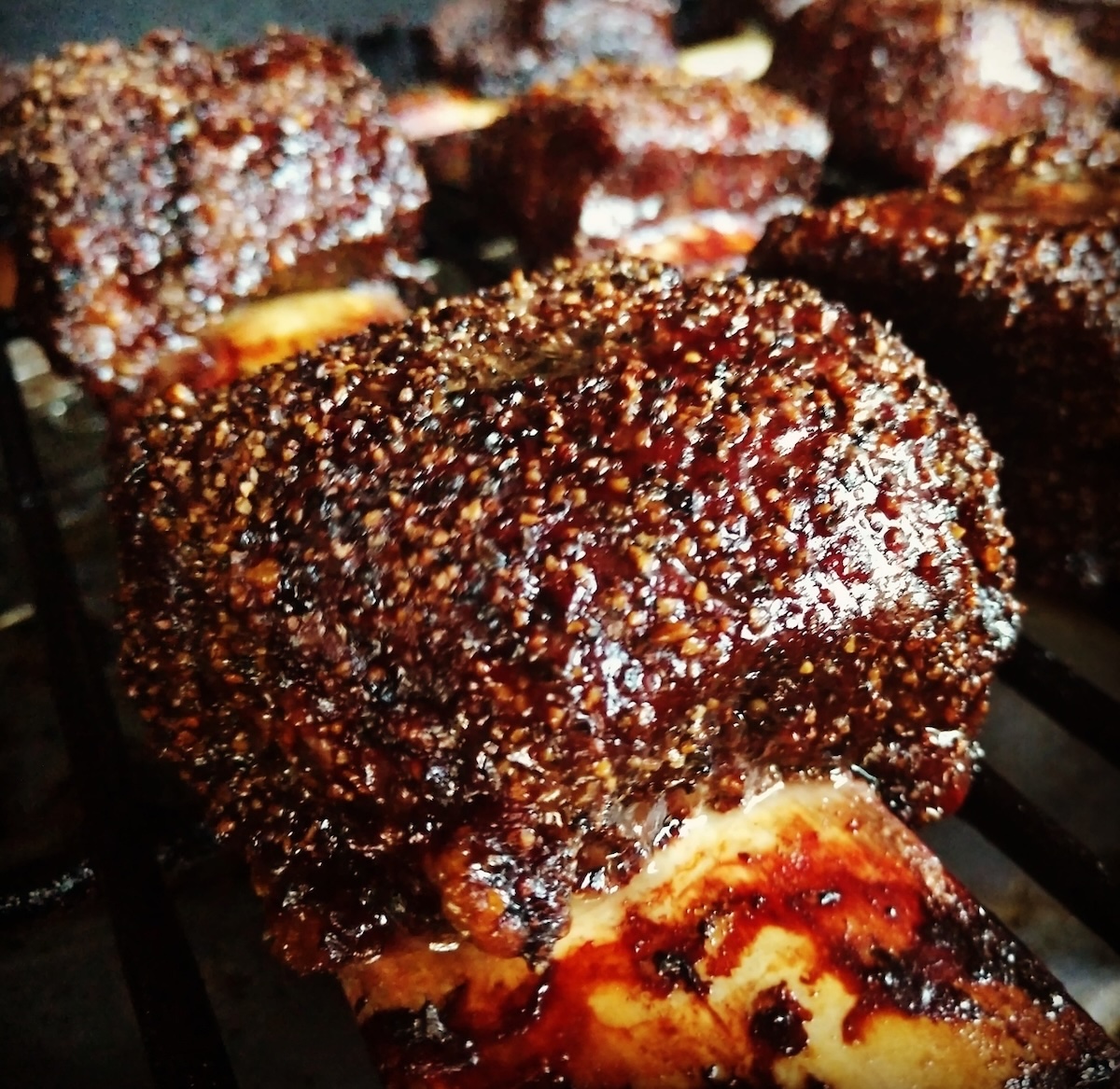 Texas beef short ribs closeup showing meat on the bone